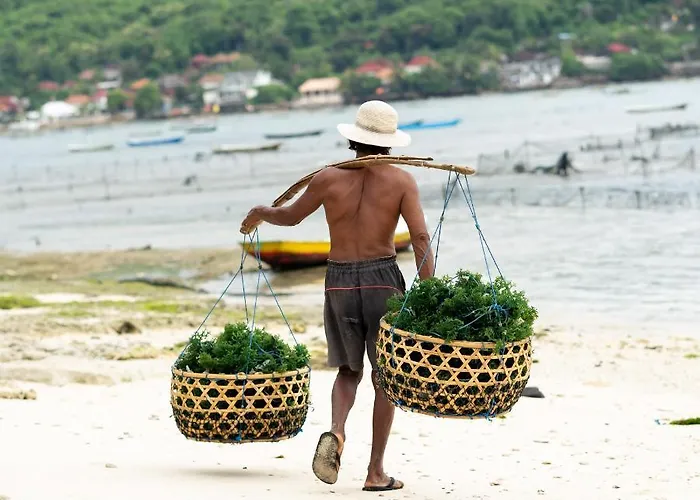 Katoni * Nusa Lembongan (Bali)